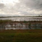 campo-pairetti2