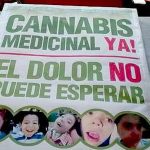 legalizacion-canabis