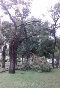 tormenta