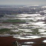 campo-inundado