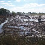 campo-inundado