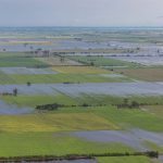 campo-inundado