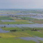 campo-inundado