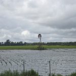 campo-inundado
