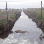 canal