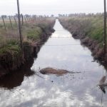 canalclandestino