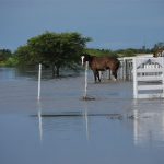 inundacion-campo