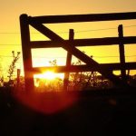 campo