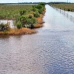 campo-inundado