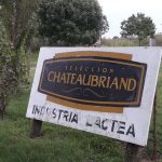 chateaubriand