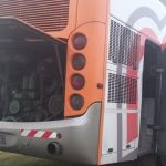 colectivos