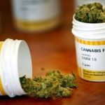 cannabis
