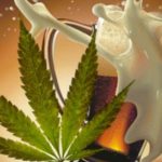 cannabis-cerveza