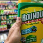 roundup