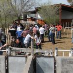 cooperativa