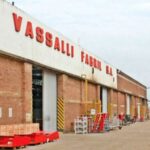 vassalli
