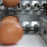 huevos