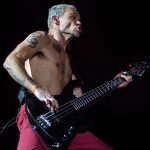 flea