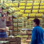 mercado-rosario