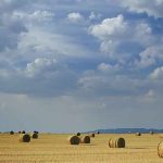 campo