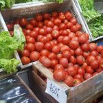 tomate