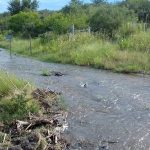 canal-clandestino