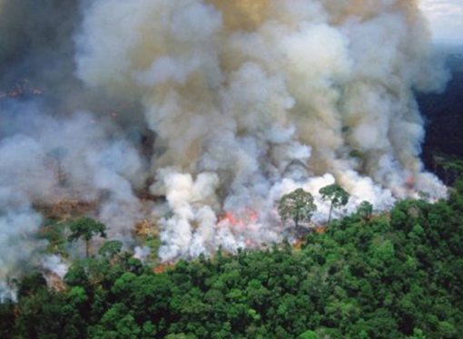 El humo por los incendios del Amazonas llegará a la provincia de Santa Fe