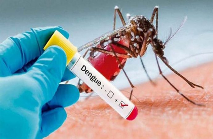 Confirman el segundo caso de dengue en Sastre