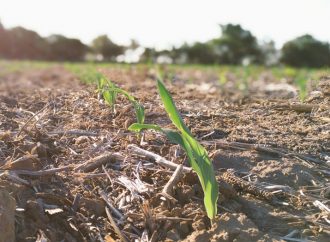 El agro santafesino precisa más de 100 milímetros de lluvia para superar la sequía